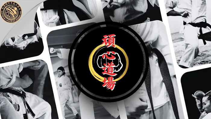 Ganshin Dojo Shotokan Karate Do Picture 5