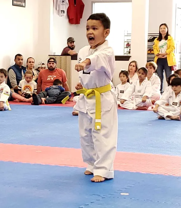 Cheon's Tiger TaeKwonDo Picture 3