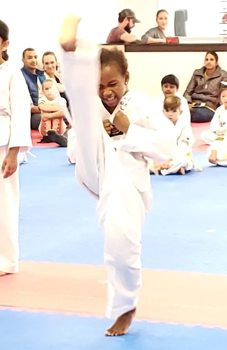 Cheon's Tiger TaeKwonDo Picture 4