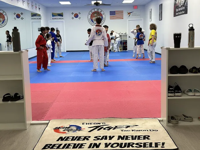 Cheon's Tiger TaeKwonDo Picture 2
