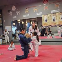Golden Eagle Taekwondo ico