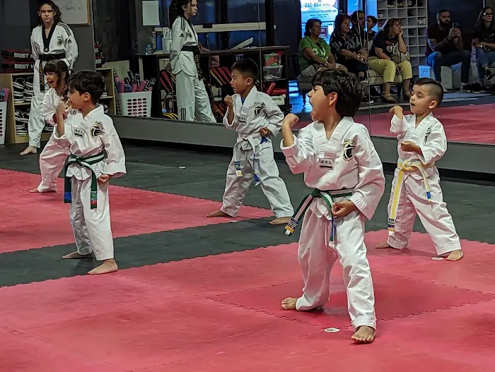 Golden Eagle Taekwondo Picture 5