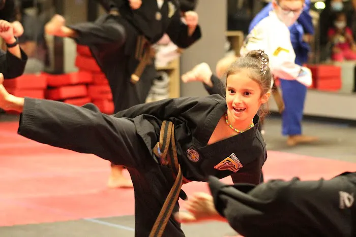 Golden Eagle Taekwondo Picture 9