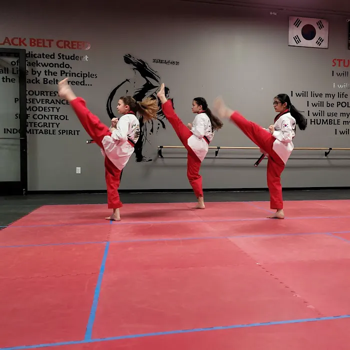 Golden Eagle Taekwondo Picture 6