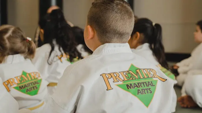 Premier Martial Arts of West Katy/Fulshear Picture 4
