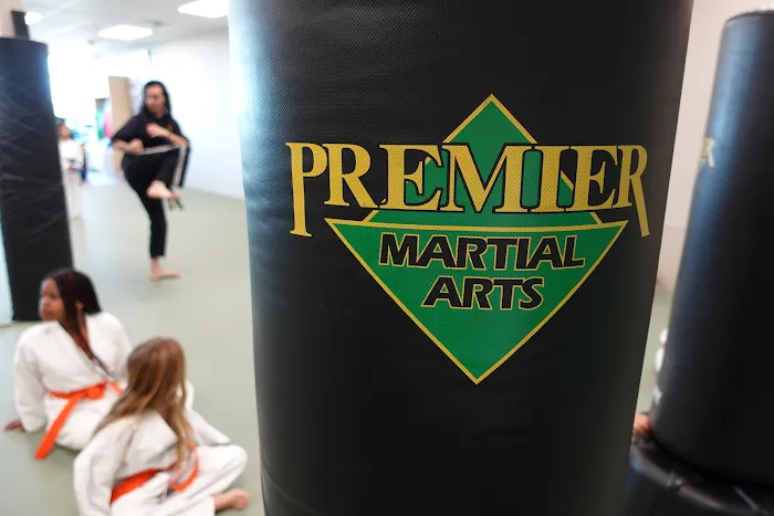 Premier Martial Arts of West Katy/Fulshear Picture 7