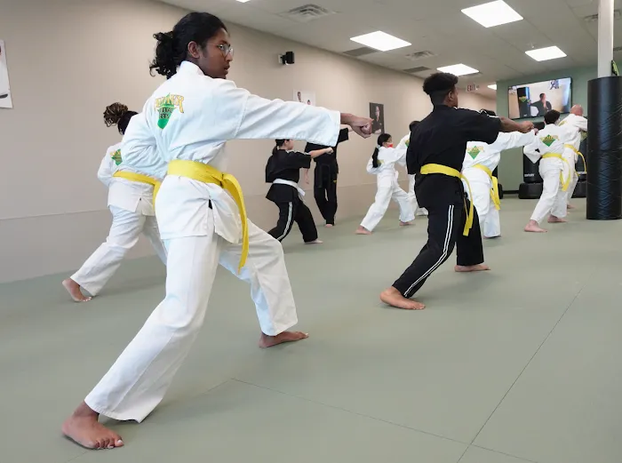 Premier Martial Arts of West Katy/Fulshear Picture 10