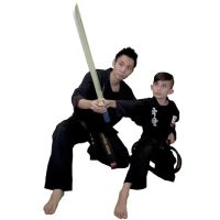 Master Pak's Martial Arts Academy ico
