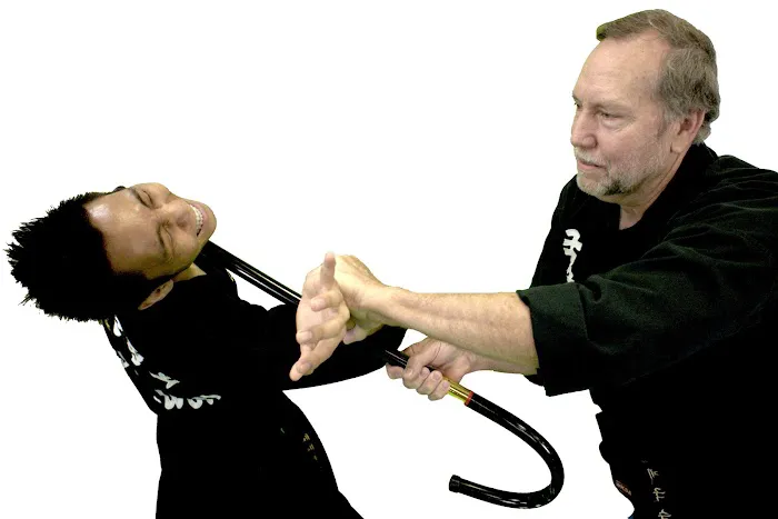 Master Pak's Martial Arts Academy Picture 7