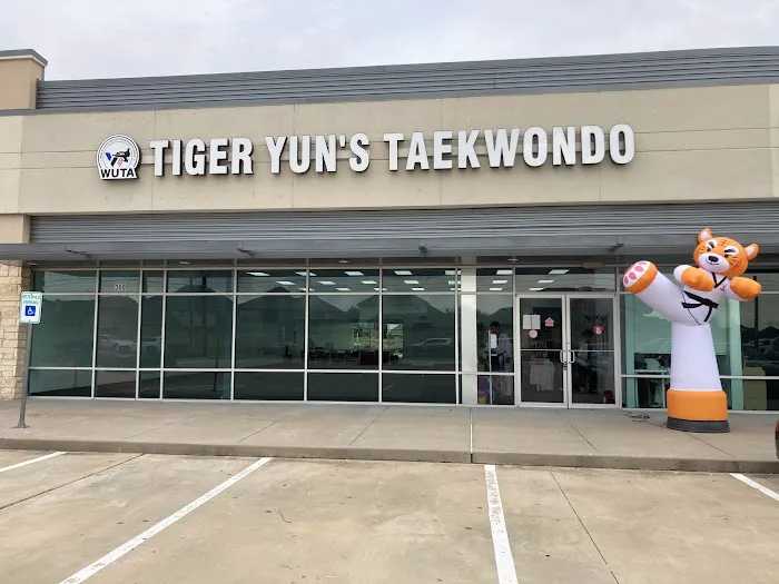 WUTA Tae Kwon Do - Katy Picture 6