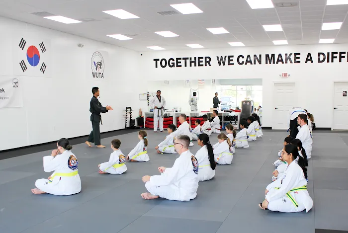 WUTA Tae Kwon Do - Katy Picture 9