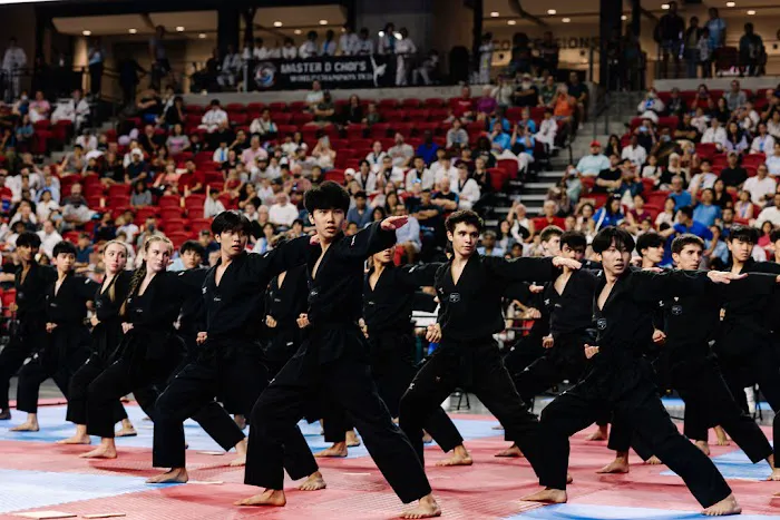 Leaders Taekwondo - Formerly know as Master Lee's World Champion TKD Firethorne Picture 4