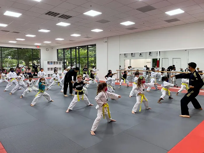 Leaders Taekwondo - Formerly know as Master Lee's World Champion TKD Firethorne Picture 1