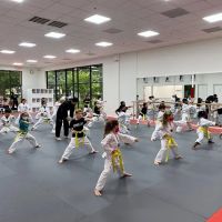 Leaders Taekwondo - Formerly know as Master Lee's World Champion TKD Firethorne ico