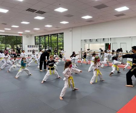 Leaders Taekwondo - Formerly know as Master Lee's World Champion TKD Firethorne