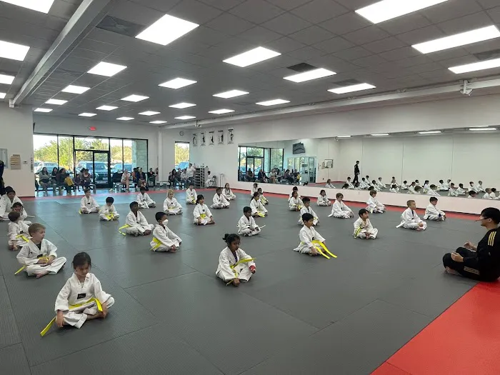 Leaders Taekwondo - Formerly know as Master Lee's World Champion TKD Firethorne Picture 8