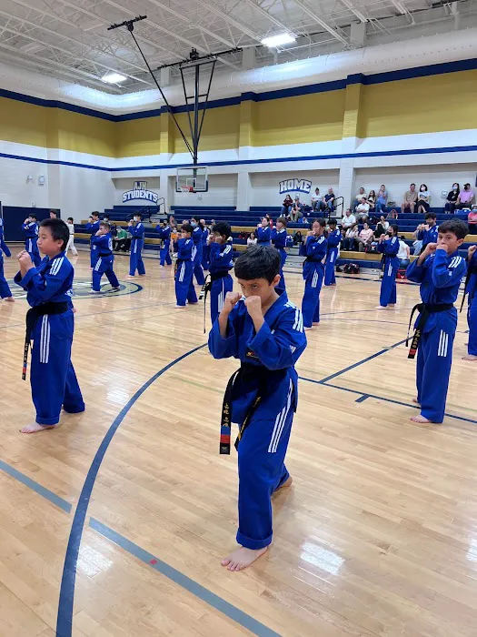 Leaders Taekwondo - Formerly know as Master Lee's World Champion TKD Firethorne Picture 5