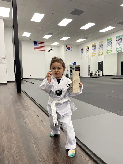 WUTA Tae Kwon Do - Brookshire Picture 4