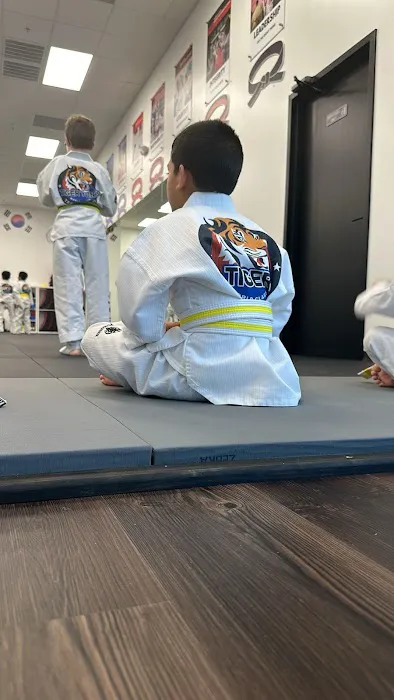 WUTA Tae Kwon Do - Brookshire Picture 6