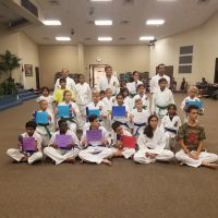 Fulshear Family Karate ico