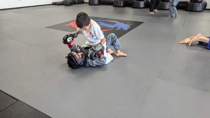 Team Legacy Martial Arts - BJJ MMA Picture 2