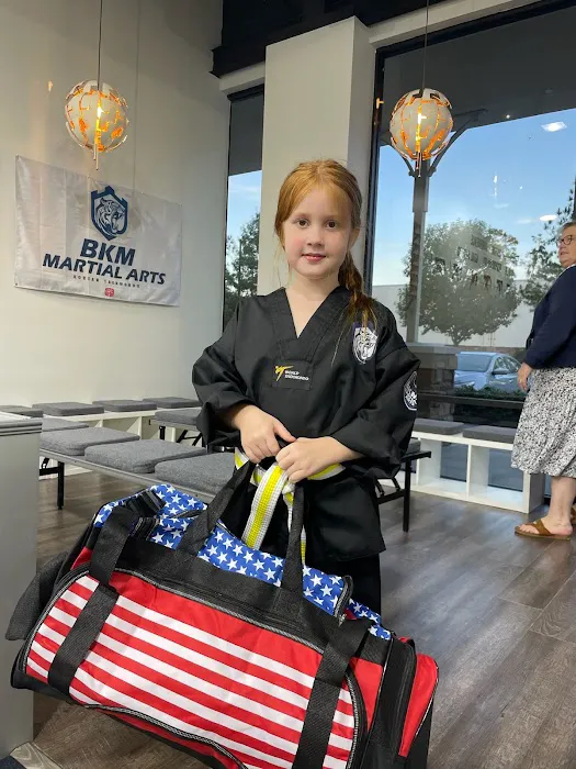 BKM Martial Arts the Woodlands Picture 4