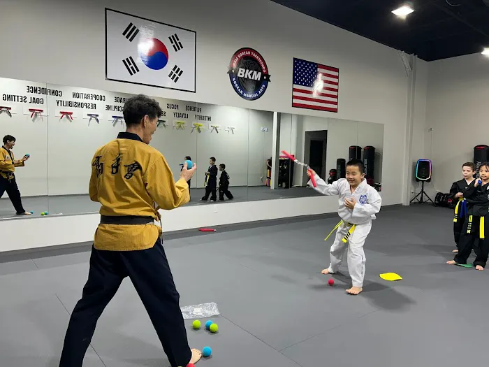 BKM Martial Arts the Woodlands Picture 6