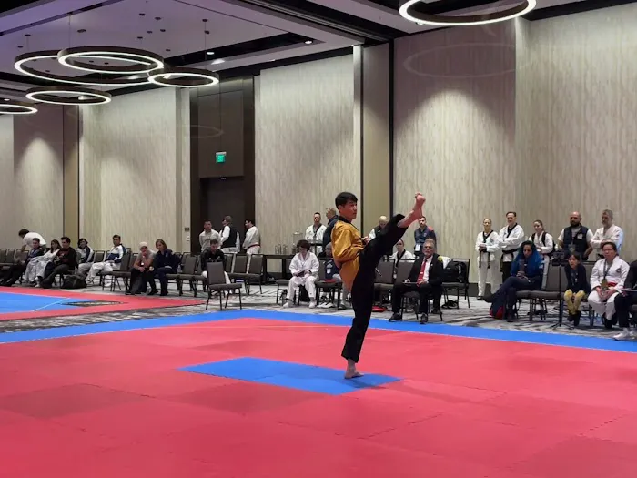 BKM Martial Arts the Woodlands Picture 7