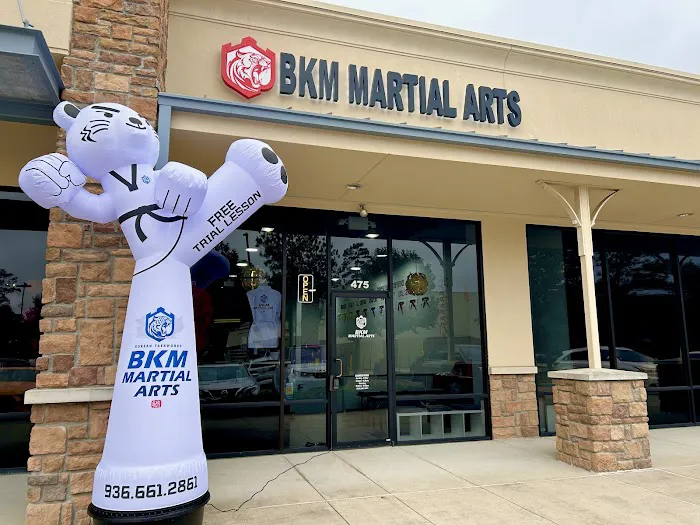 BKM Martial Arts the Woodlands Picture 8