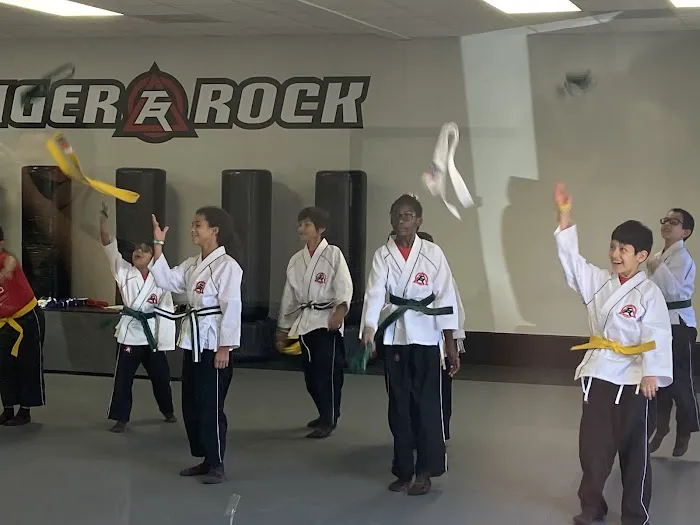 Tiger Rock Martial Arts of The Woodlands North Picture 5
