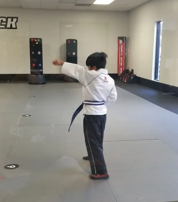 Tiger Rock Martial Arts of The Woodlands North Picture 4