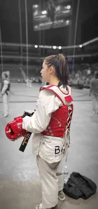 Taekwondo Varsity League Picture 3