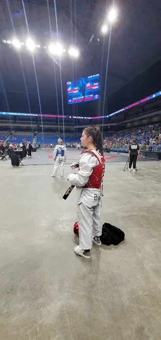 Taekwondo Varsity League Picture 4