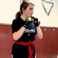 Premier Martial Arts Magnolia ico