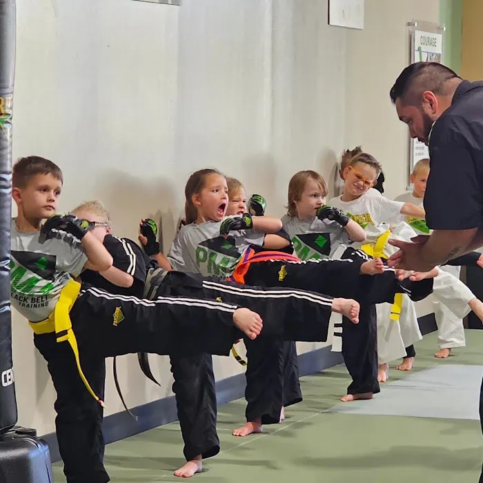 Premier Martial Arts Magnolia Picture 6
