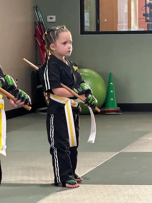 Premier Martial Arts Magnolia Picture 8