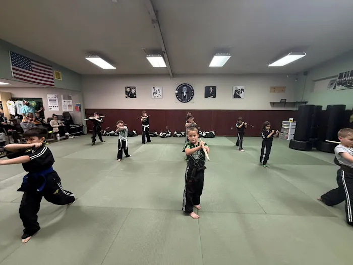 Krav Maga Shield Magnolia Picture 2