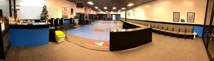 Cox Martial Arts Conroe - Taekwondo & Jiu-Jitsu Picture 8