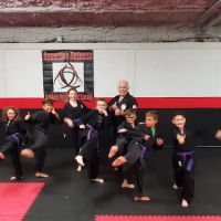Assertive Defense Karate School ico