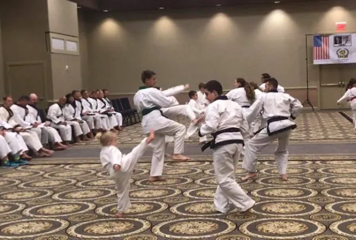 Montgomery Karate Picture 5