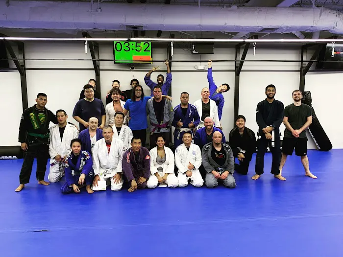 Elite Mixed Martial Arts - Greenway Plaza/Galleria Picture 2