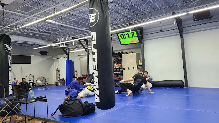Elite Mixed Martial Arts - Greenway Plaza/Galleria Picture 1