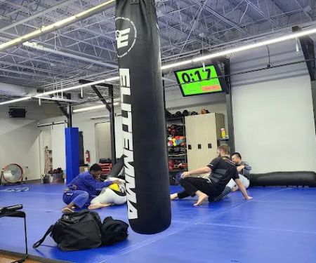 Elite Mixed Martial Arts - Greenway Plaza/Galleria
