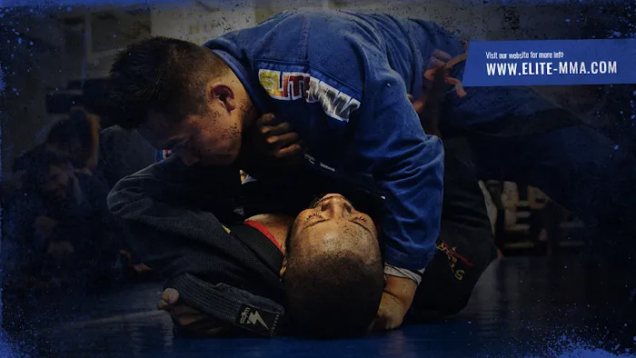 Elite Mixed Martial Arts - Greenway Plaza/Galleria Picture 9