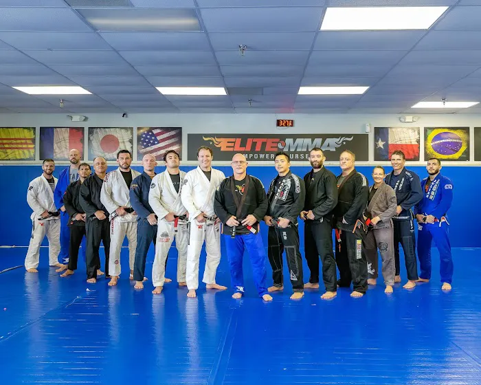 Elite Mixed Martial Arts - Greenway Plaza/Galleria Picture 10