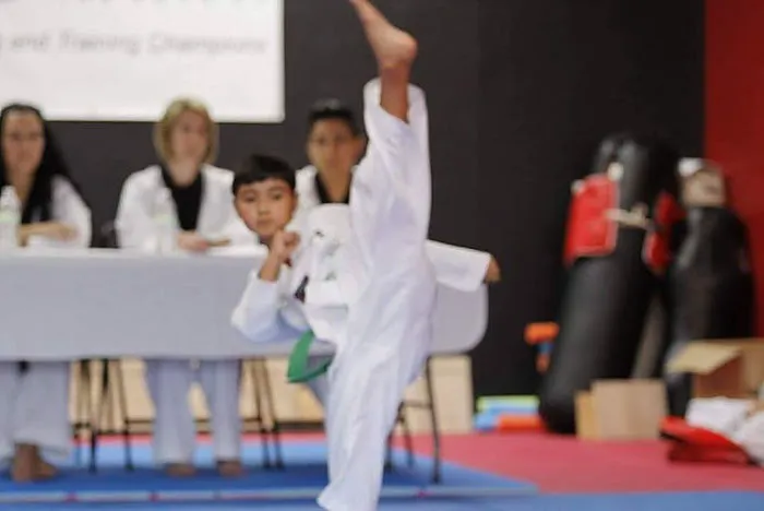 Kovacs TaeKwonDo Picture 1