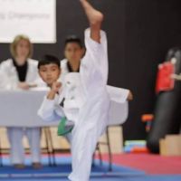 Kovacs TaeKwonDo ico