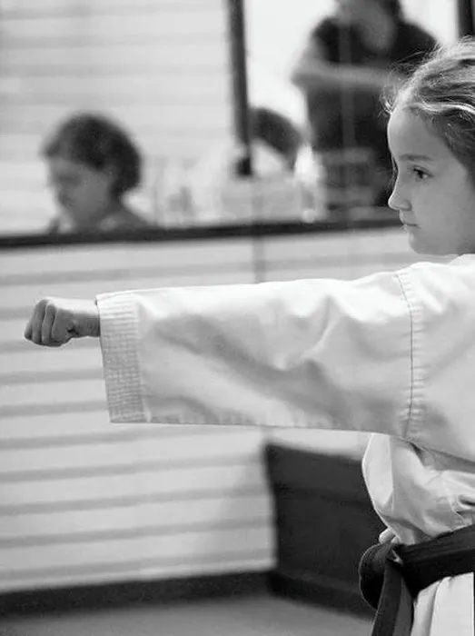 Kovacs TaeKwonDo Picture 3