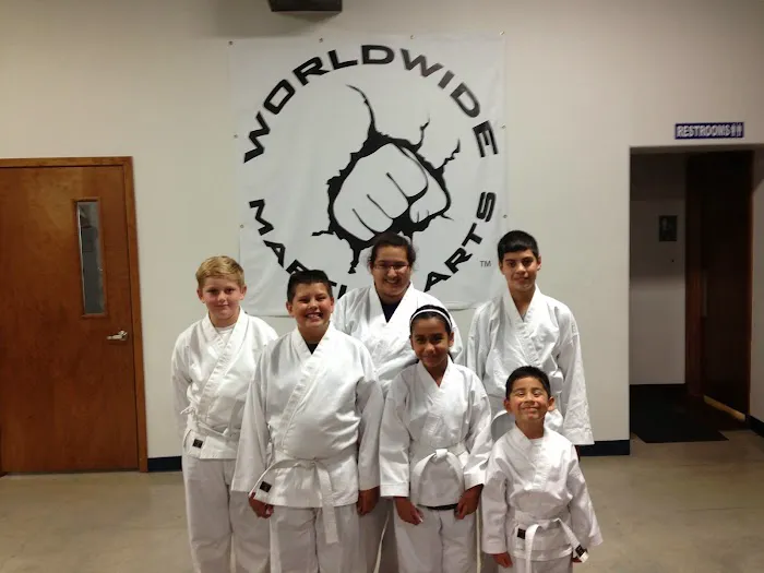 Worldwide Martial Arts Picture 3