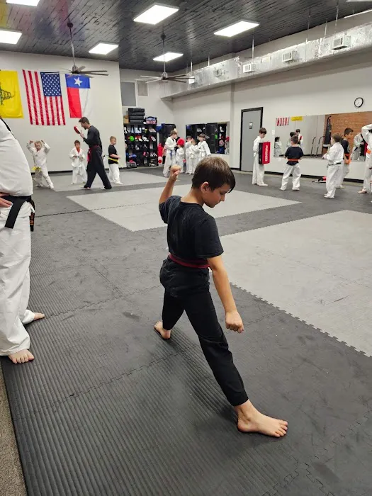 Droptine Blackbelt Academy Picture 2